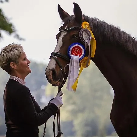 戈尔登贝克凯赛尔假日公园 Goldenbek