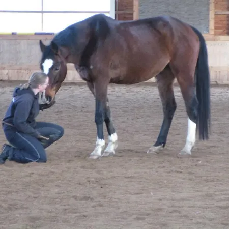度假居 戈尔登贝克凯赛尔假日公园 *